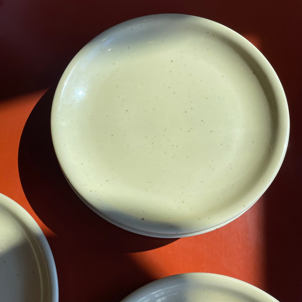 1960's Galaxy Milkstone Dinner Plates