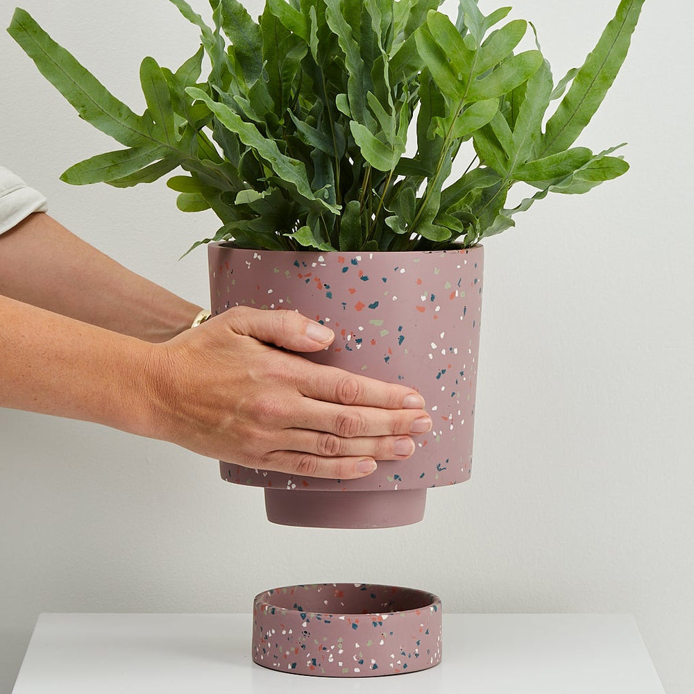 Banjo Planter by Capra Designs