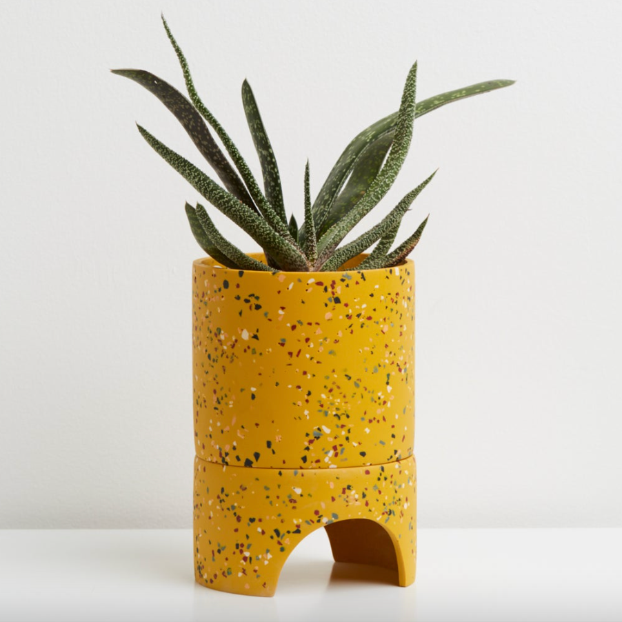 Archie Terrazzo Planter