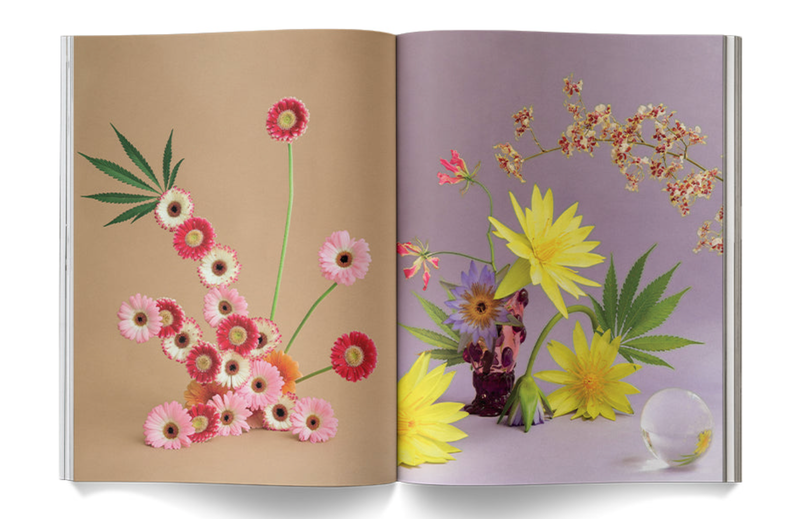 "A Weed is a Flower: Artful Cannabis Photography" - Broccoli