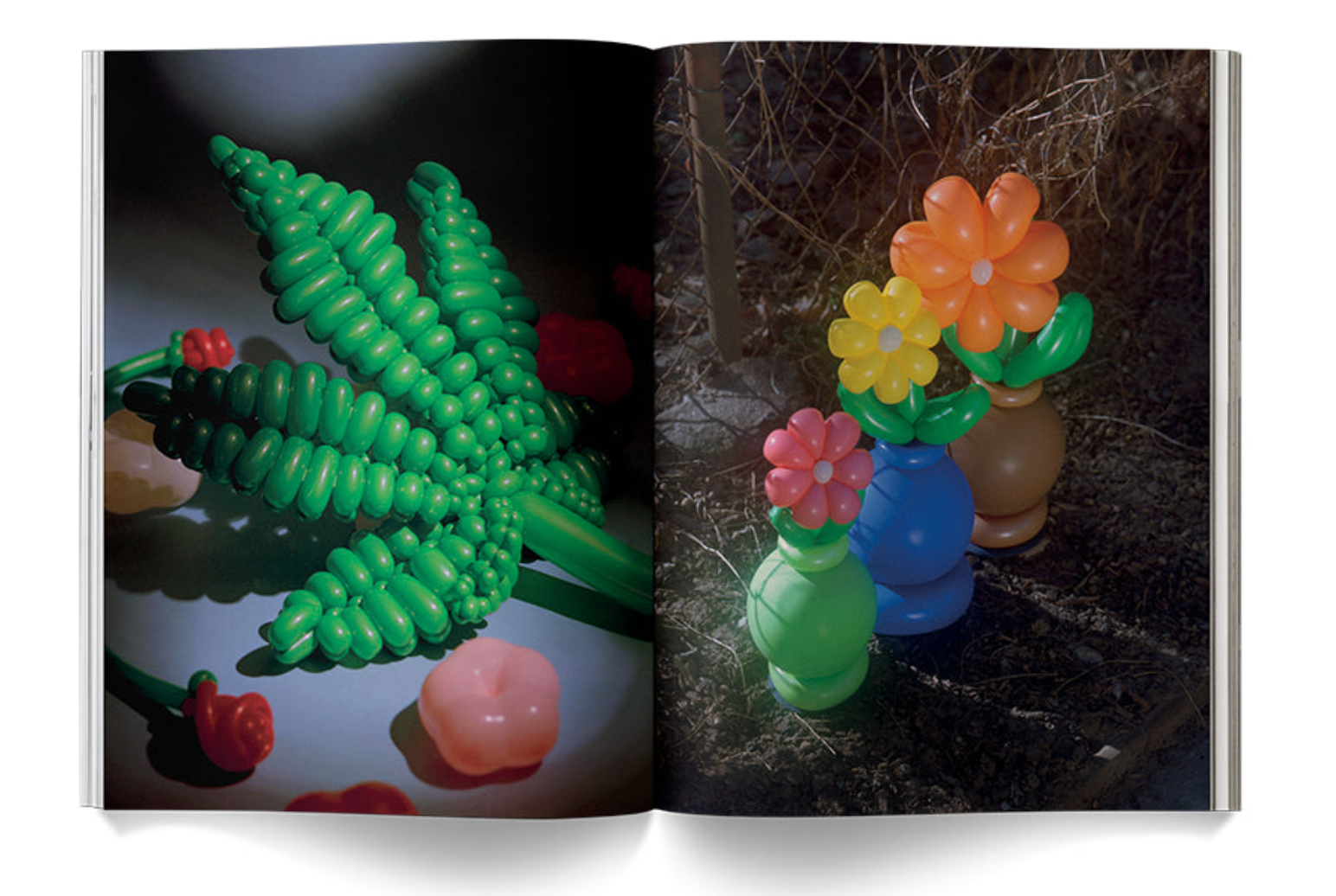 "A Weed is a Flower: Artful Cannabis Photography" - Broccoli