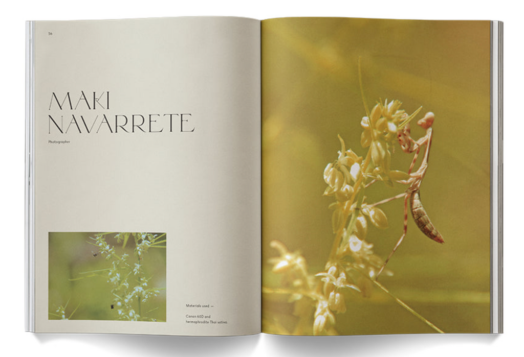 "A Weed is a Flower: Artful Cannabis Photography" - Broccoli