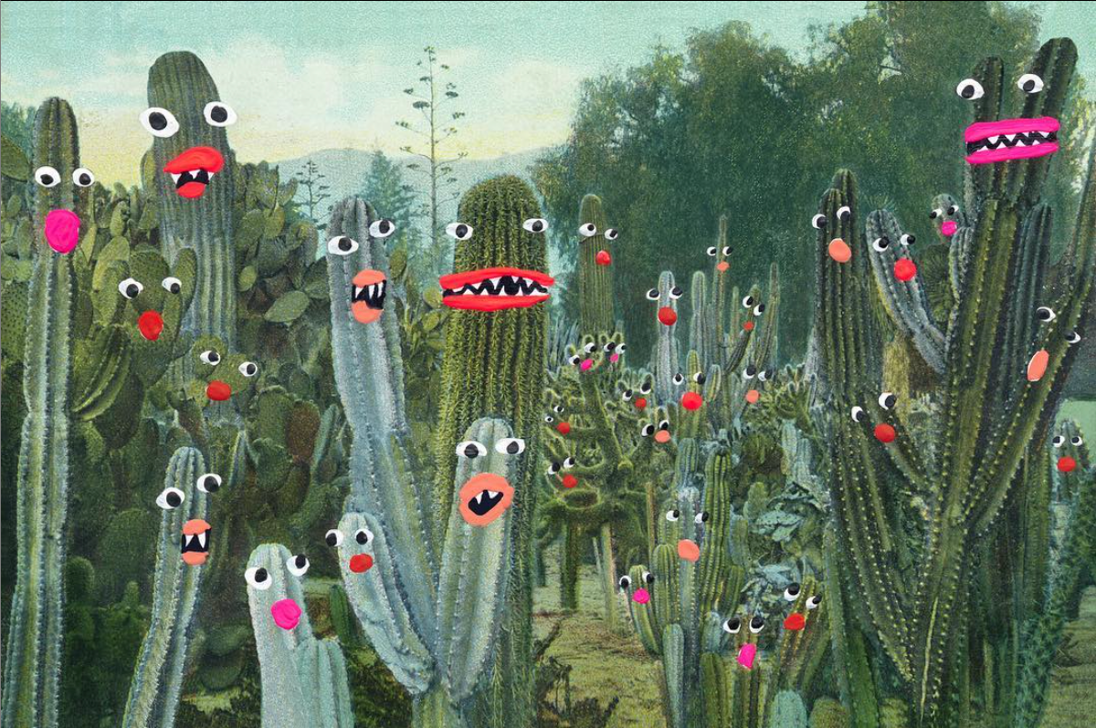 16" x 24" "Cactus Garden" print by Angela Deane