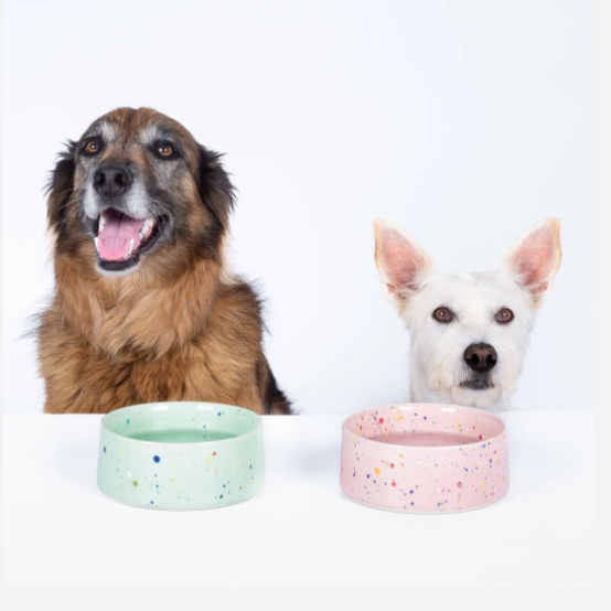 6.5" Speckled Ceramic Pet Bowl by Egg Back Home