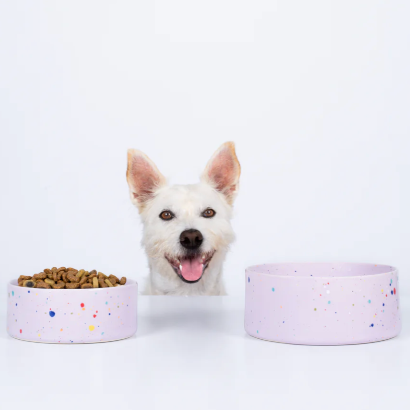 6.5" Speckled Ceramic Pet Bowl by Egg Back Home