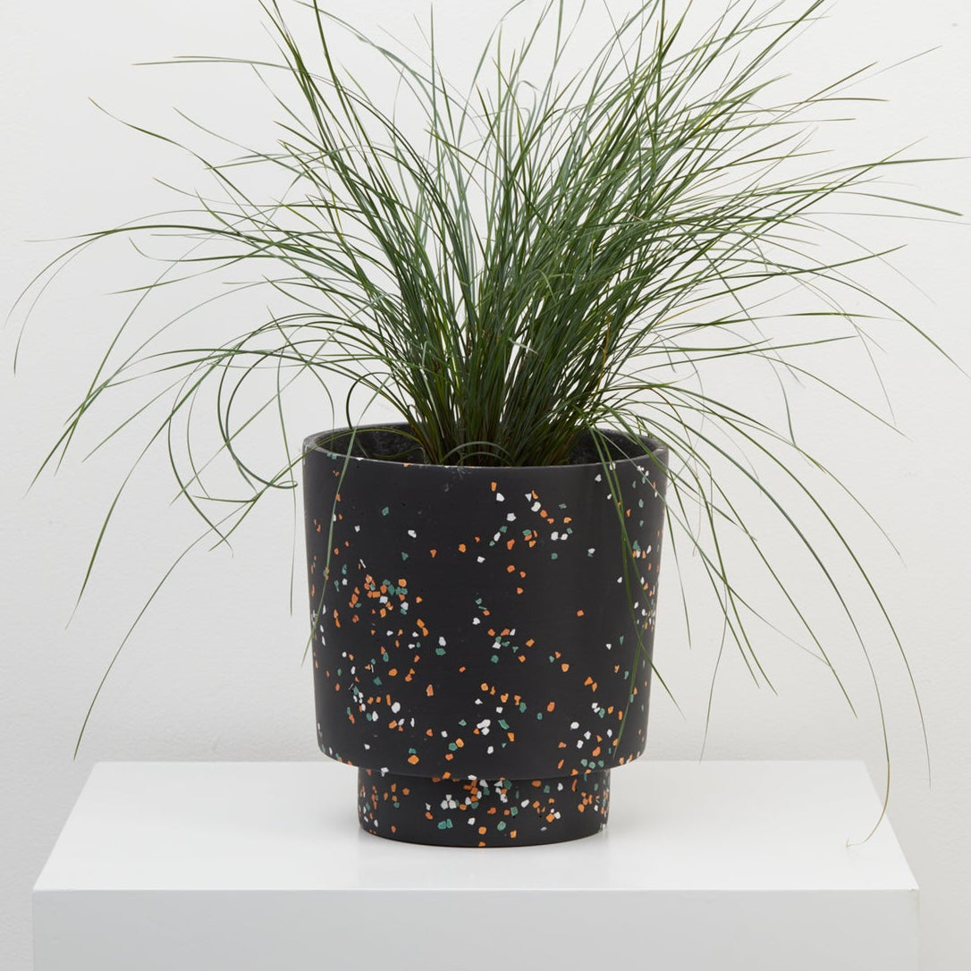 Banjo Planter by Capra Designs